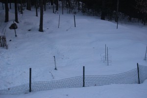 IMG_0932